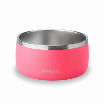 Owala 6 Cups Pet Bowl Pink Canada | RUOGM-1628